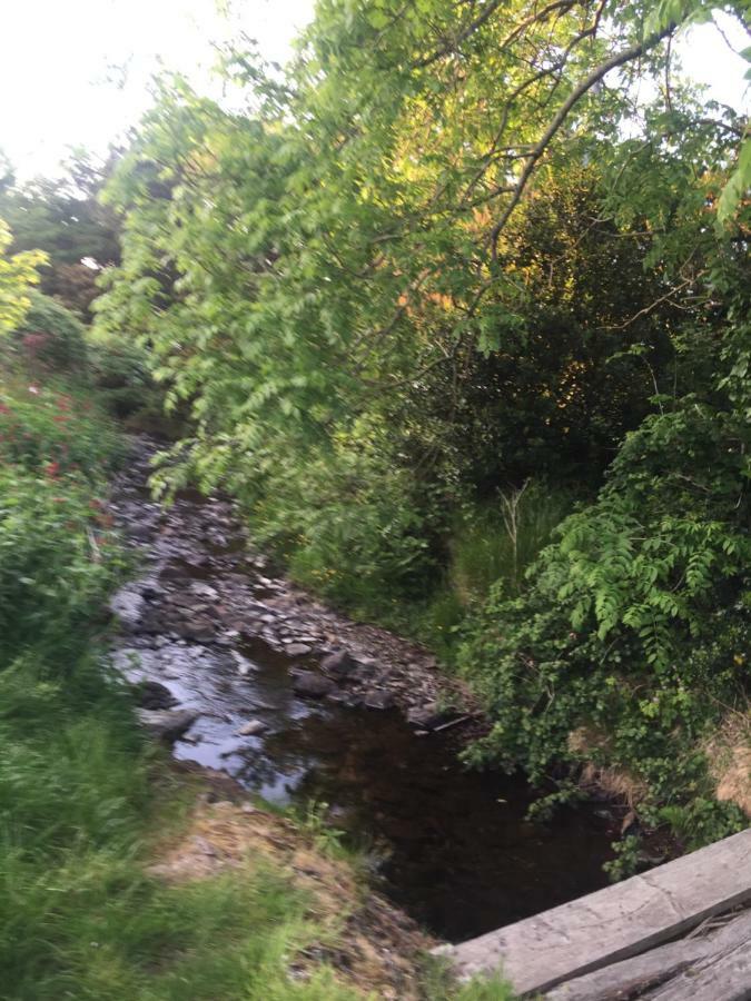 Reek View - Two Bedroom Cottage Westport Extérieur photo